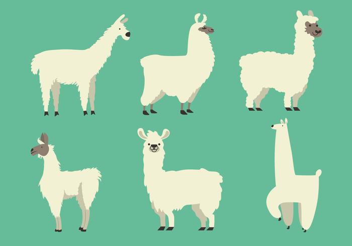 Vector Llamas Vector Llamas