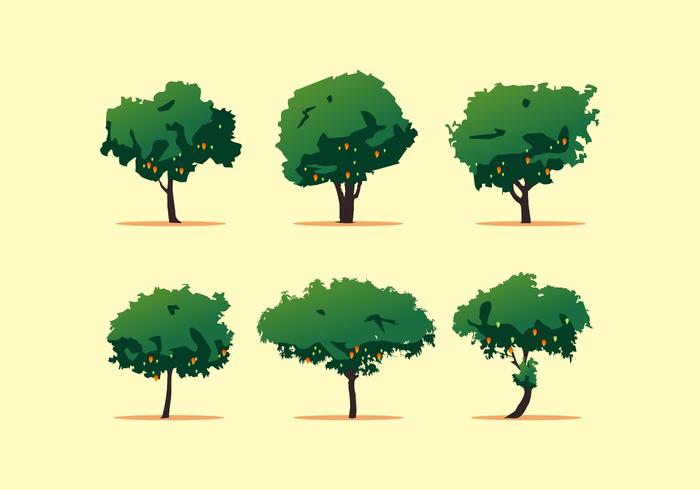 FREE MANGO TREE VECTOR FREE MANGO TREE VECTOR