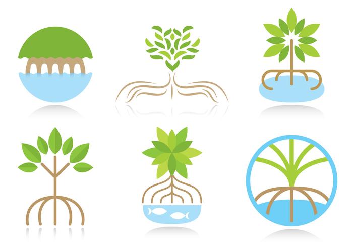 Mangrove Logo Vectors