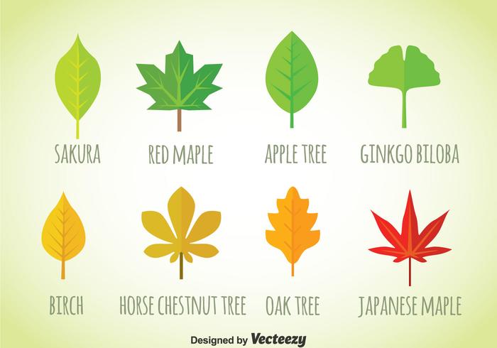 Leaf Flat Icons Vector