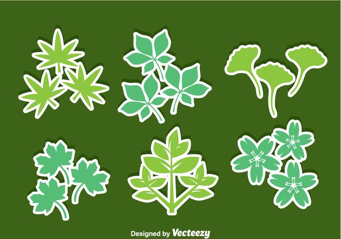Herbs Leaves Icons Vector