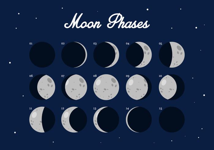 Vector Moon Phase