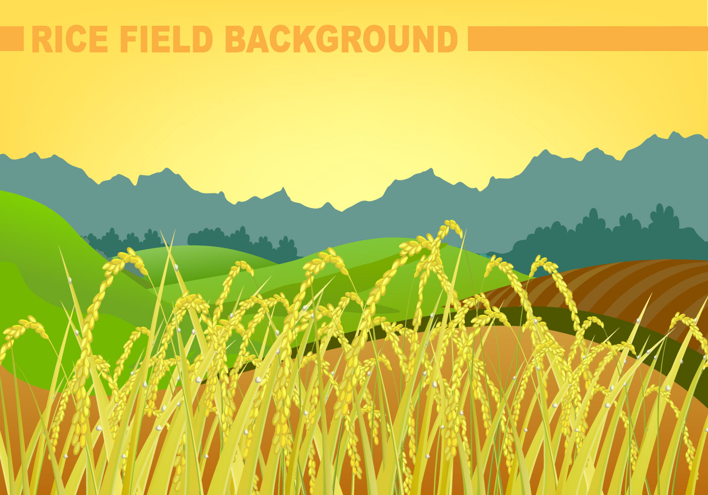 Rice Field Background Vector 107972 Vector Art at Vecteezy