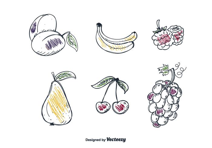 Hand Drawn Fruits Set Vector