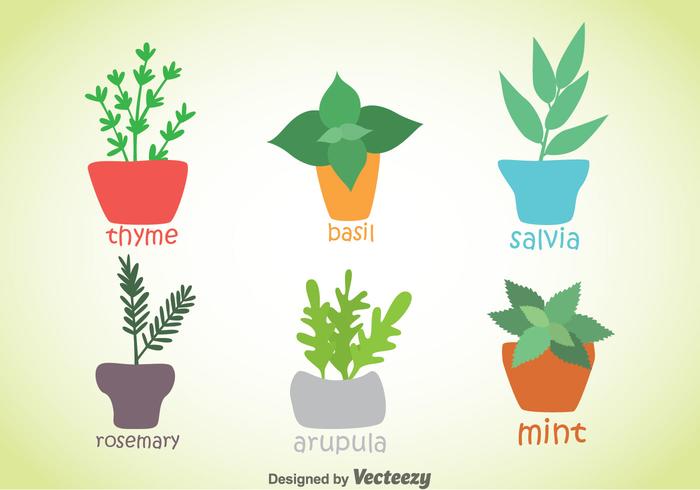 Herbs And Spices Plant Vector