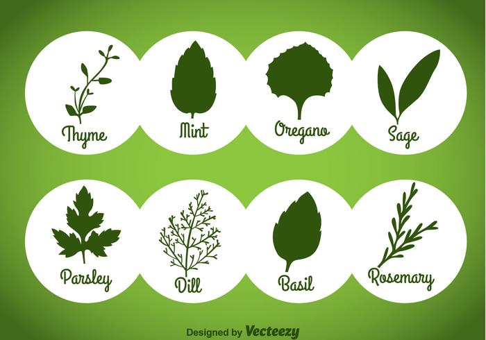 Herbs And Spices Green Icons Vector