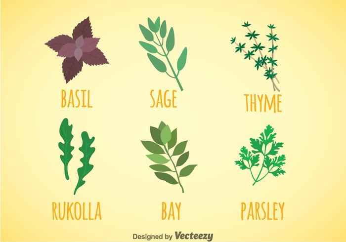 Herbs And Spices Colors Icons Vector