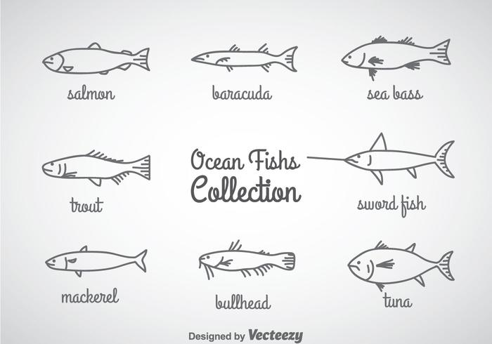Ocean Fish Linear Icons Vector