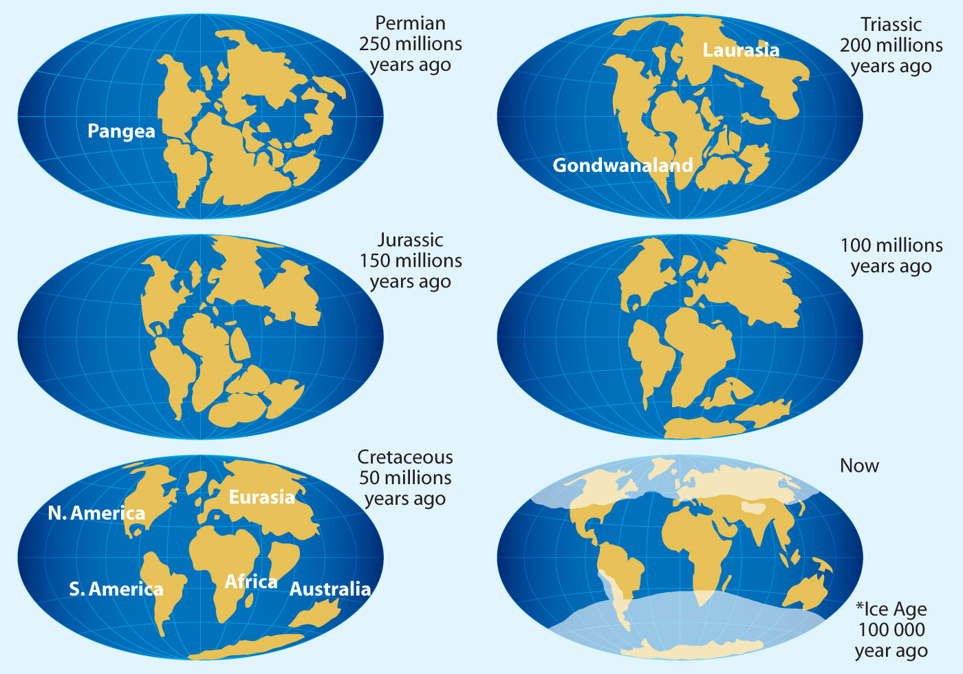 Gebären leiden Bibliothek mapa continental Anonym Verstand Datum