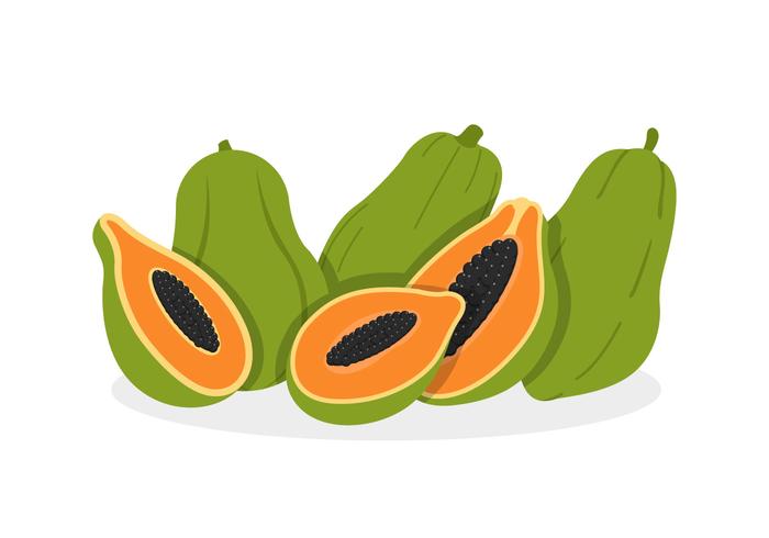 Papaya Vectors Papaya Vectors