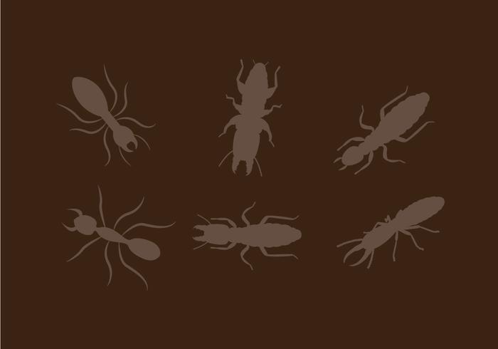 Termite Vector