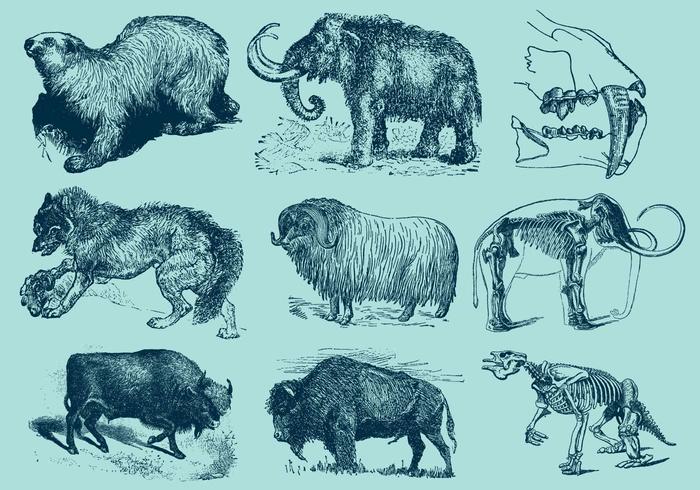 Animales de la Edad de Hielo vector