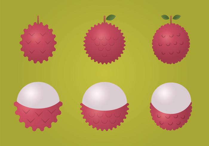 Ilustraciones Vectoriales de Lychee vector