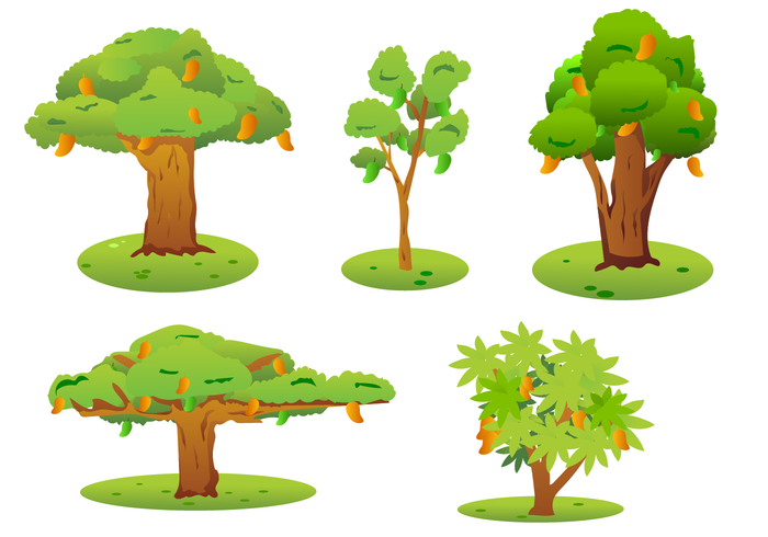 Free Mango Tree Vector