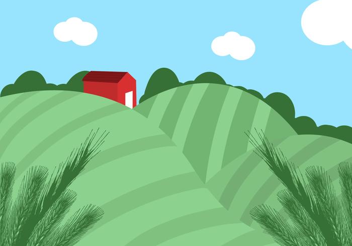 Rice Field Vector