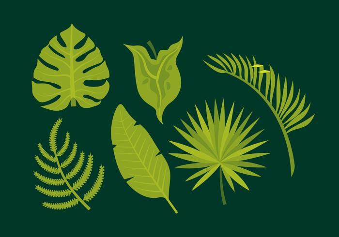 Green Leaves Set vector