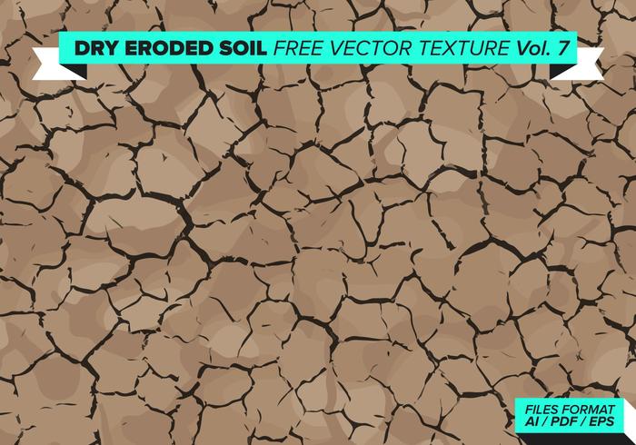 Dry Eroded Tree Free Vector Texture Vol. 7 Dry Eroded Tree Free Vector Texture Vol. 7