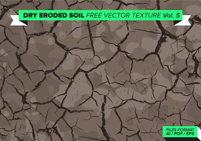 Dry Eroded Tree Free Vector Texture Vol. 5 Dry Eroded Tree Free Vector Texture Vol. 5