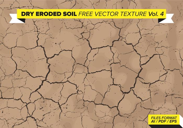 Dry Eroded Tree Free Vector Texture Vol. 4 Dry Eroded Tree Free Vector Texture Vol. 4