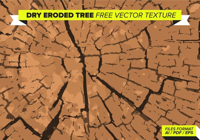 Dry Eroded Tree Free Vector Texture Dry Eroded Tree Free Vector Texture