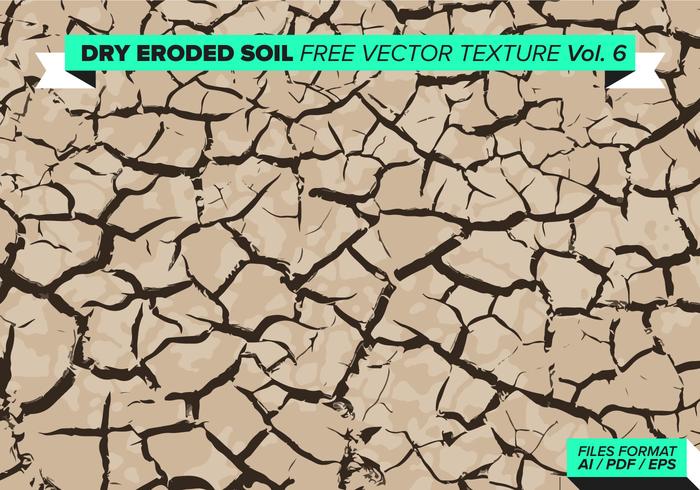 Dry Eroded Tree Free Vector Texture Vol. 6 Dry Eroded Tree Free Vector Texture Vol. 6