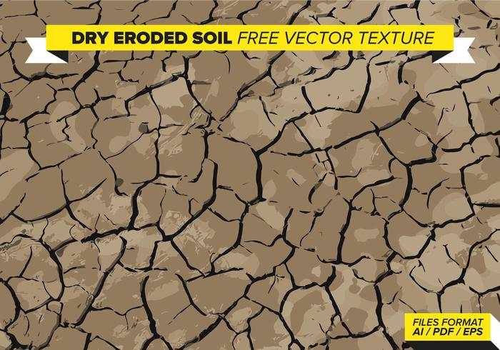 Dry Eroded Soil Free Vector Texture Dry Eroded Soil Free Vector Texture