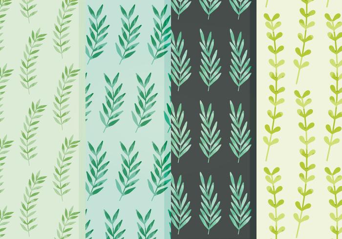 Vector Leaves Patterns