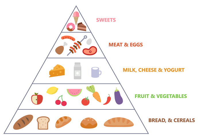 Vector libre pirámide de alimentos