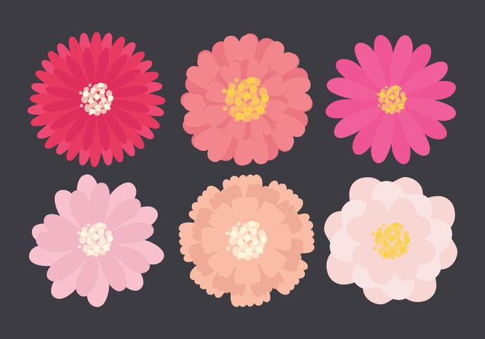 Vector Flower Collection