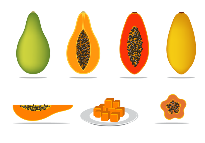 Free Papaya Vector Free Papaya Vector