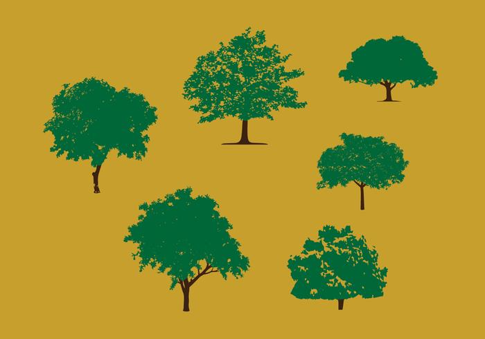 Mango Tree Vector Pack Mango Tree Vector Pack