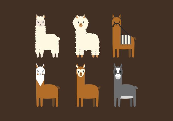 Vector Llama 