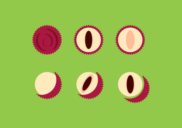 Free Lychee Vectors