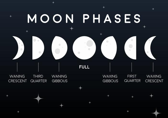 Iconos planos de la fase de la luna del vector