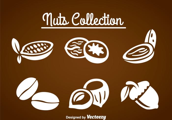 Nuts Collection Sets vector