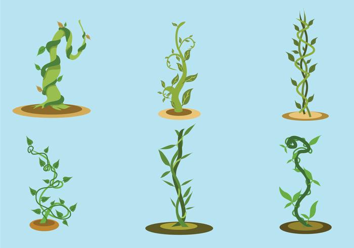 The Beanstalk Vector