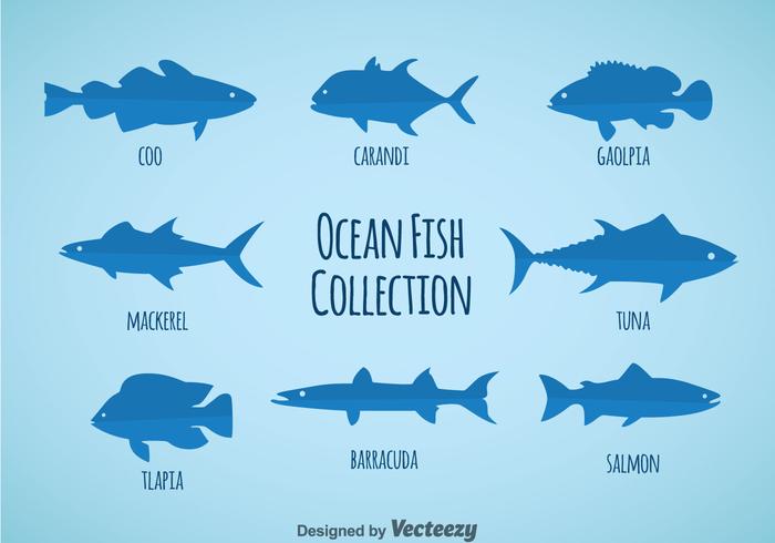 Vector de la colección de peces del océano