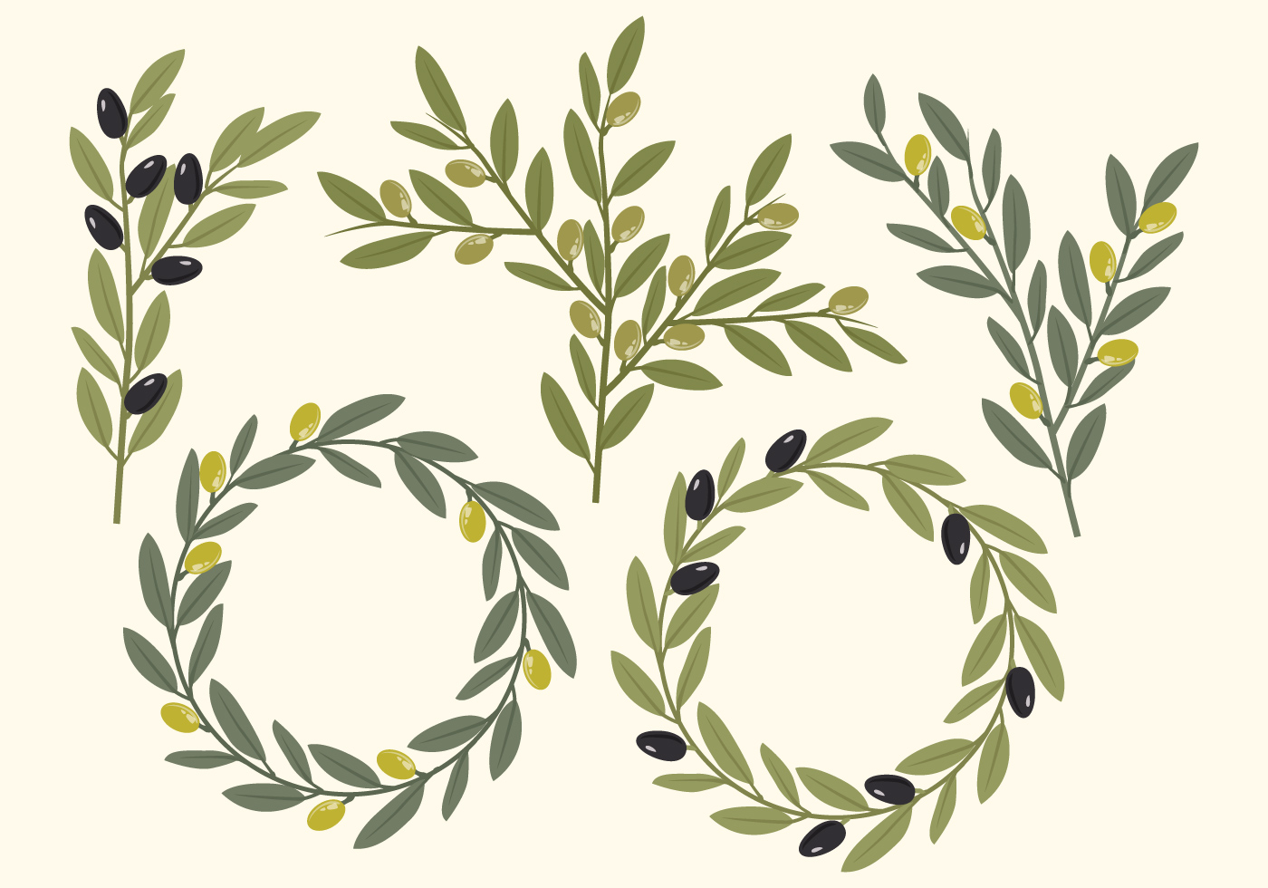 Vector Olive Elements 109986 Vector Art at Vecteezy