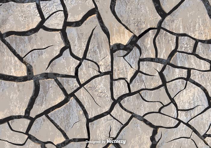 Realistic Vector Eroded Stone Path Texture