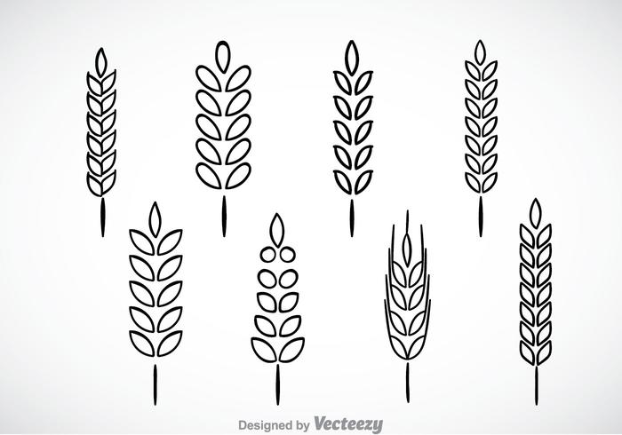 Wheat Stalk Black Outline Icons vector