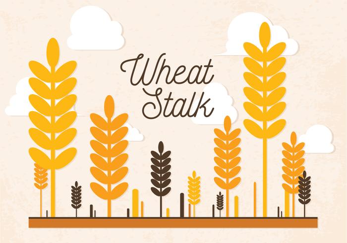 Free Wheat Stalk Vector Free Wheat Stalk Vector