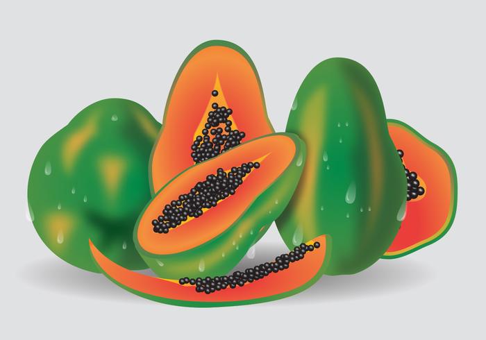 Fresh Fruit Vector