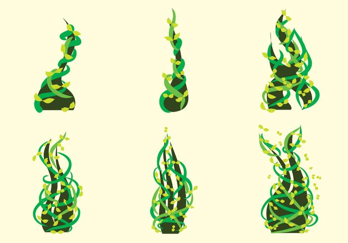 Beanstalk Vector Beanstalk Vector