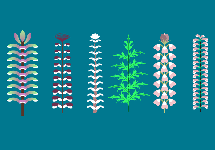 Free Acanthus Vector