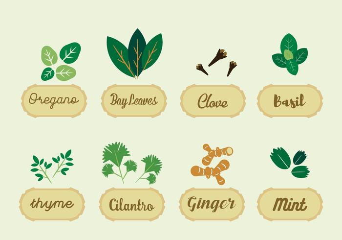 Herbs Vector