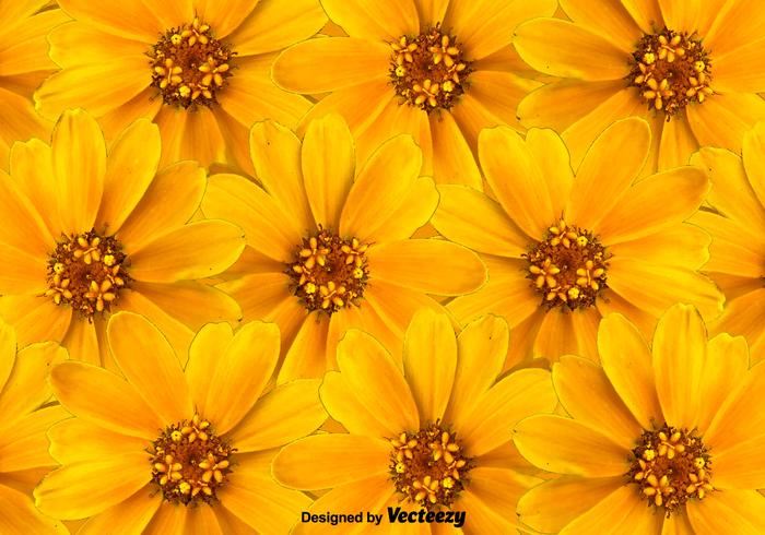 Vector Yellow Flowers Background