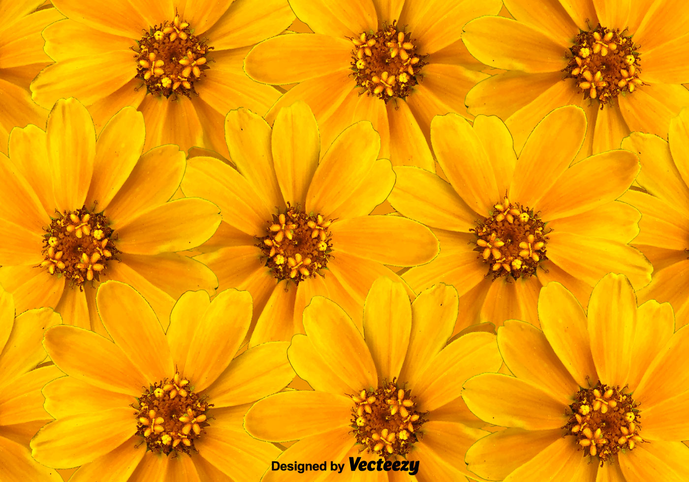 Download Vector Yellow Flowers Background 110973 Vector Art at Vecteezy