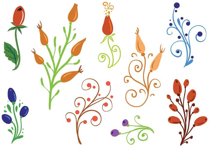 Free Rosehip Ornaments Vectors