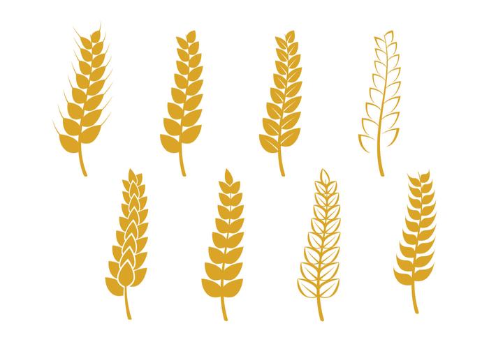 Wheat Stalk Icon vector