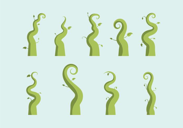 Free Beanstalk Vector Illustration